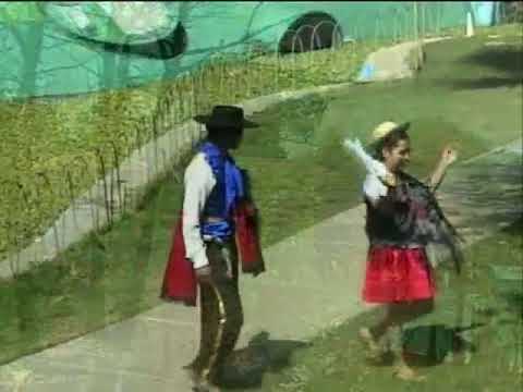 Villa Esperanza cueca - Los Tres Sapos Mealla