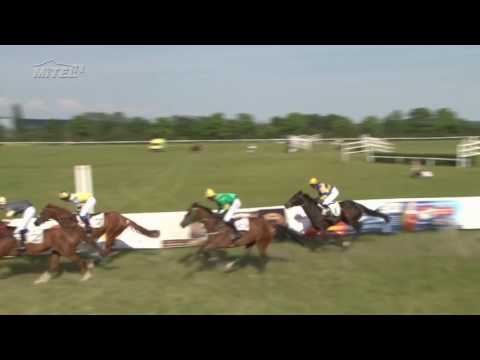 MI, 3. 6. 2017, 8. dostih - Cena firmy KM PRONA pro mladé jezdce