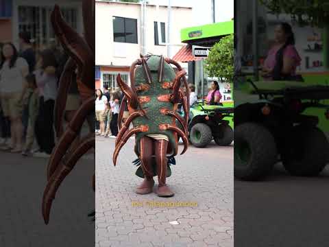 Coral recorrió Puerto Ayora | Festival de la Langosta en Santa Cruz 🦞🌊