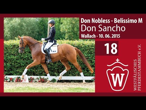 18 Don Sancho Wallach v. Don Nobless - Belissimo