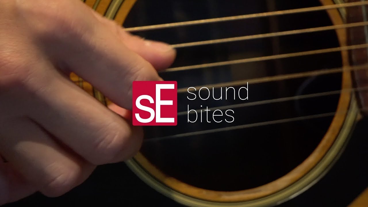 sE Electronics SE-7 Small Diaphragm Condenser Microphone (Single)