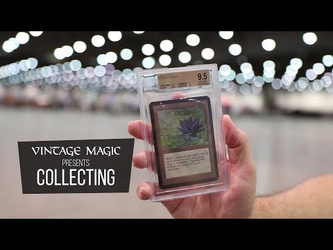 COLLECTING Magic: The Gathering = WHY Memories & Nostalgia OUTLAST the GAME.