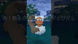 隠しタスクをクリアして背景ポケモンゲット？