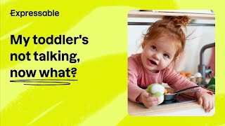 My toddler's not talking, now what?