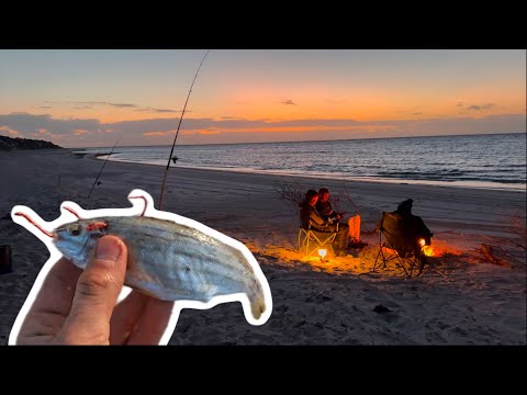 Beach fishing the YORKES with BIG BAITS!!