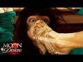 Moon Of Desire April 29 2014 Teaser