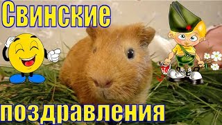 23 февраля/Веселое поздравление/Смешное поздравление/Поздравления с 23 Февраля/видео на 23 февраля