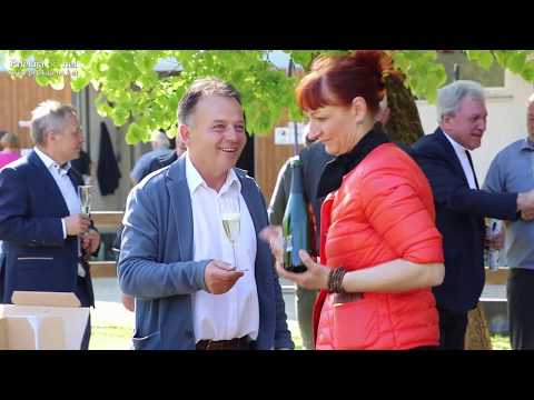 Kasaške dirke in posaditev cepljenke najstarejše trte na svetu v Ljutomeru