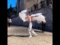 Le merle blanc_ parade Avignon off
