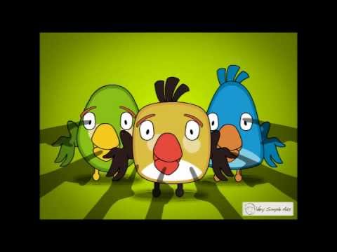 Rock City Birds! Video