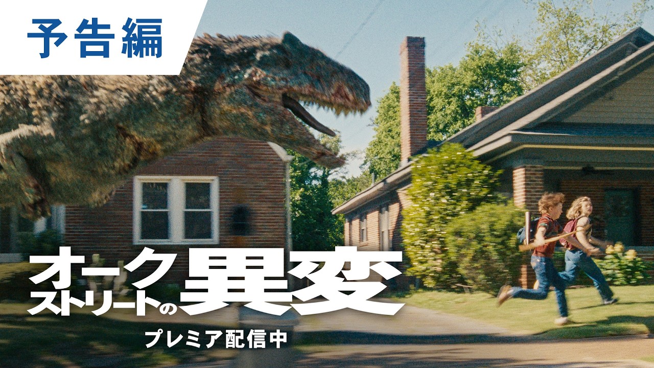 動画を再生する