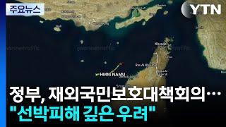 정부, 재외국민보호대책회의..."선박 피해 깊은 우려" / YTN