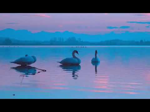 En-aye by Olimak Dagos