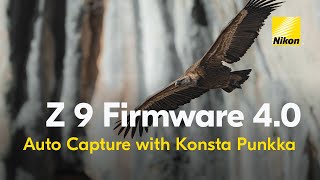Nikon 4.0 Upgrade| Auto Capture | Wildlife Photography