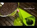 Panna Cotta Coffee Panna Cotta Recipe