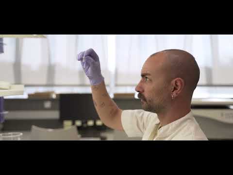 El proyecto ReproNAGEN logra 78 nacimientos en casos de alta complejidad