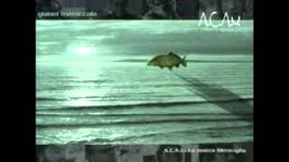 Gianni Maroccolo Ginevra Di Marco - Deus Ti Salvet Maria (A.C.A.U. la nostra meraviglia)