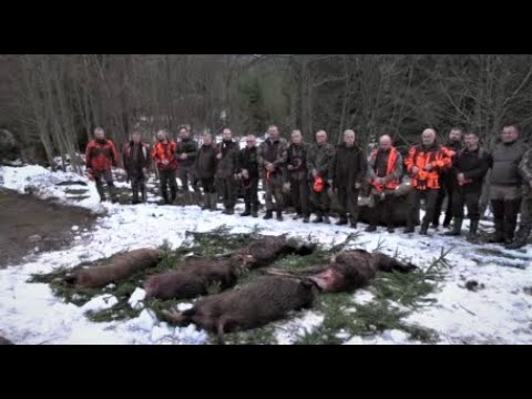 Spotkałem Myśliwych - odcinek 292 Polujemy zbiorowo w górach z KŁ ,,Cyranka'' Oświęcim