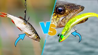 Live Bait vs Artificial Lures - Which is the Best Fishing Bait?