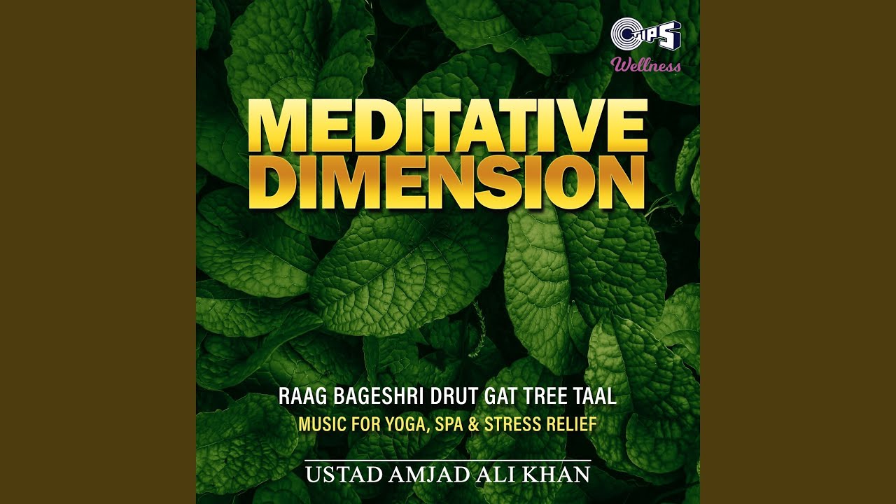 Meditative Dimensions [Instrumental]