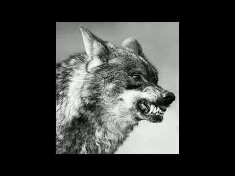 ( FREE )  RATUS x ALPHA WANN type beat - Blue Berry - (  by Noche )