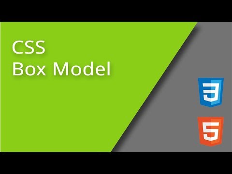 Learn CSS Box Model - Mind Luster