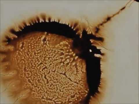 Reducer _ Inside Information _ B1