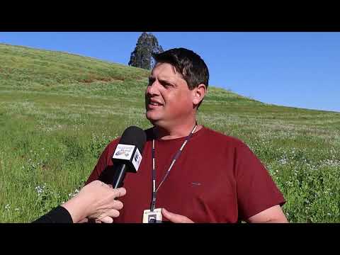 Produtor de Ponte Preta investe na citricultura - Rio Grande Rural