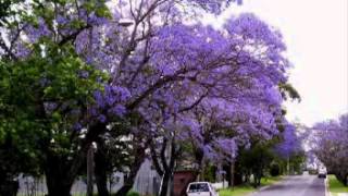 I&#39;ll be seeing you     Rahsaan Roland Kirk