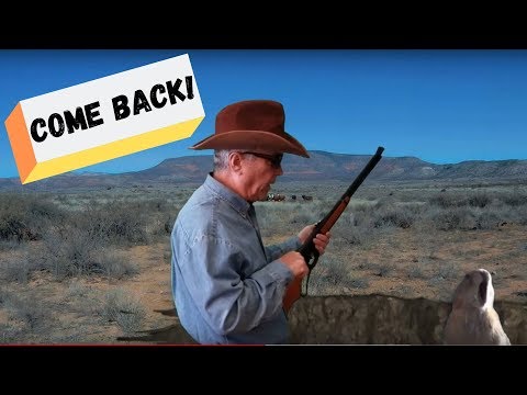 Damsel in Distress Part Two