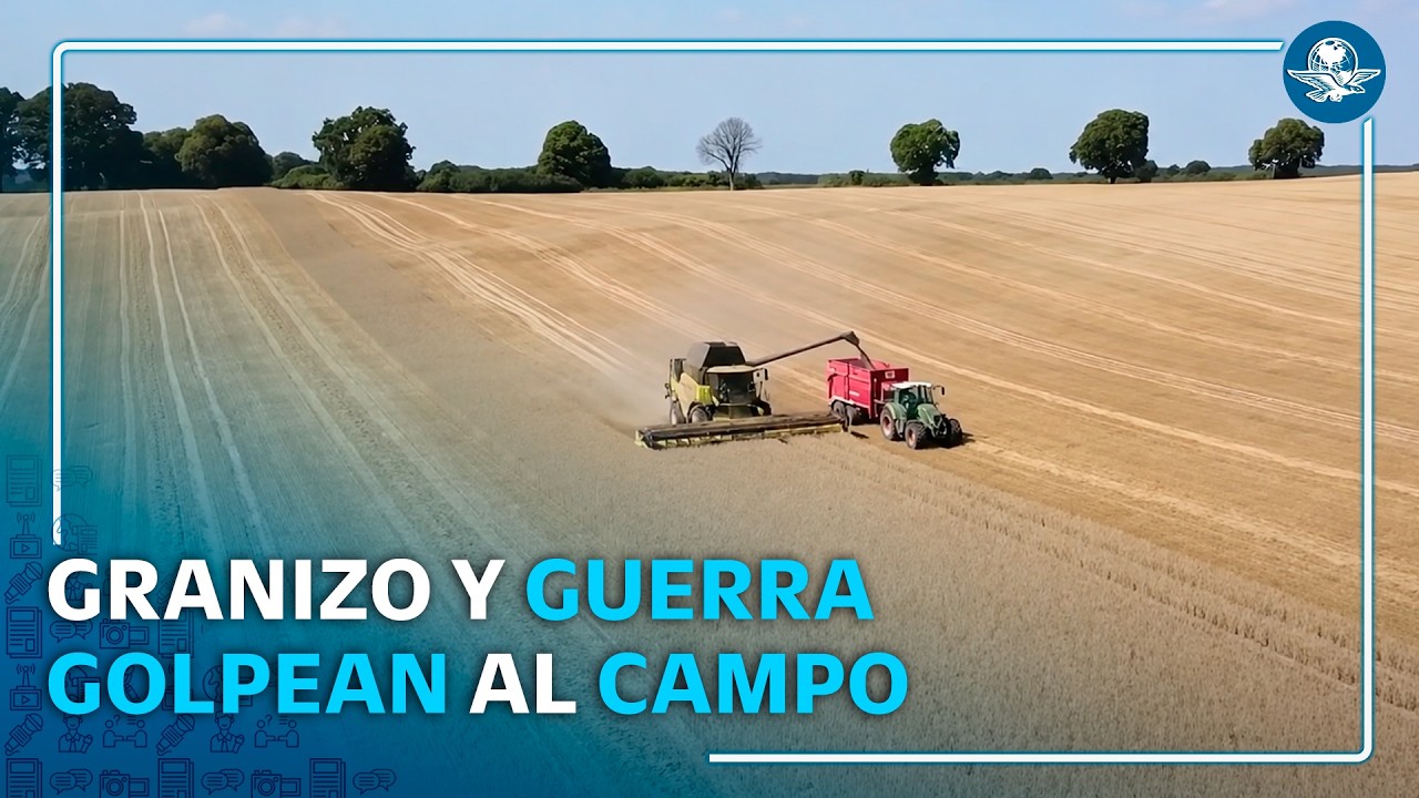 Menos cosecha y mayores costos: el reto de los agricultores alemanes