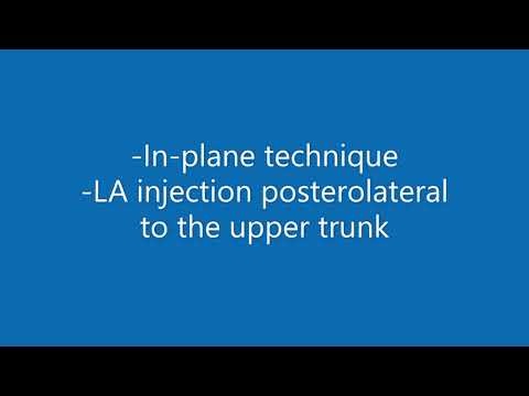 Superior trunk block