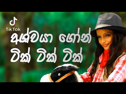 Ashwaya Gone REMIX tiktok song