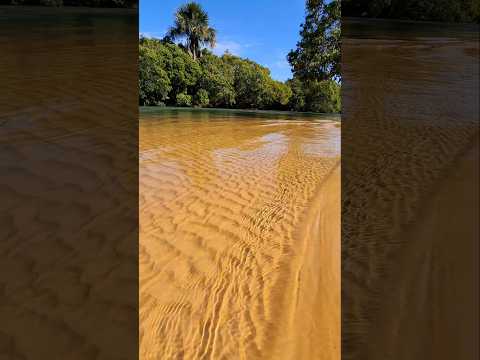 Santa Rita do Araguaia, Goiás: Onde o Rio Araguaia Começa a Encantar!