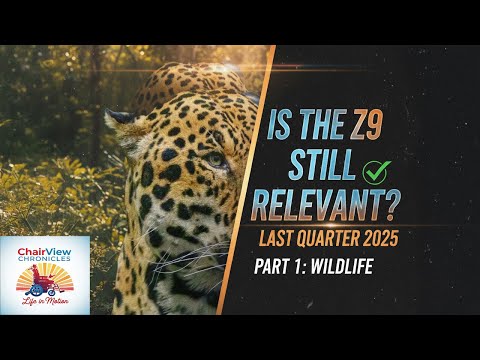 Is Nikon Z9 Still Best Camera for Wildlife Photography in 2025?