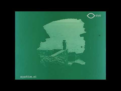 Tra le pinete di Rodi