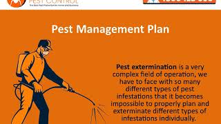 Why Do You Need Professional Pest Control Services?