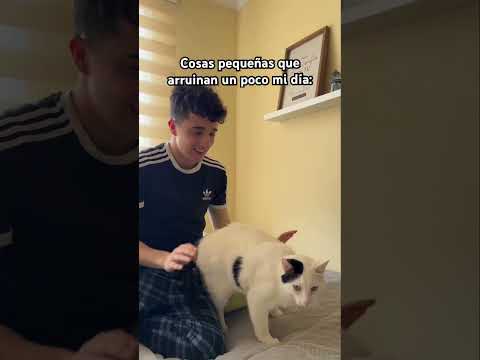 A ustedes les pasa? #humor #comedia