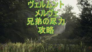 DD2【ドラゴンズドグマ2】攻略プレイ10