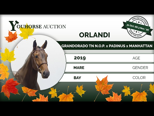Orlandi