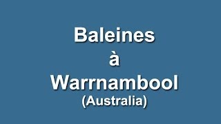 preview picture of video 'Baleines à Warrnambool, Whales in Warrnambool, Australia.'