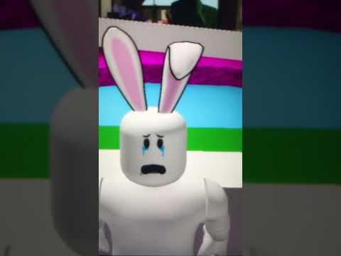 Cute fat rabbit try to laugh😂😂speak Chinese part 6