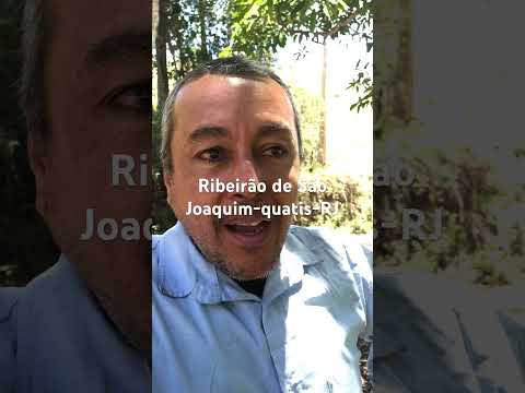 Ribeirão de São Joaquim-quatis-RJ