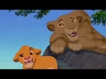 Beauty And The Panda 1991 Part 11 Aurora Meets Sarabi Simba And Kala