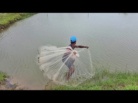 Amazing Cast Net Fishing Skill Catch Giant Fish - Awesome Traditional Net Fishing on The Sea