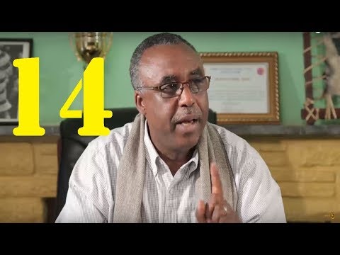 Dana Drama season 5 Episode 14 | ዳና ድራማ ሲዝን 5 ክፍል 14