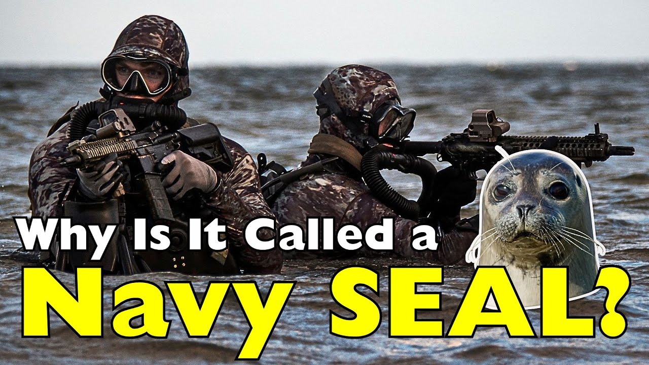 Why Are Navy SEALs Called “SEALs”? The Meaning Behind the Name [ID0834]