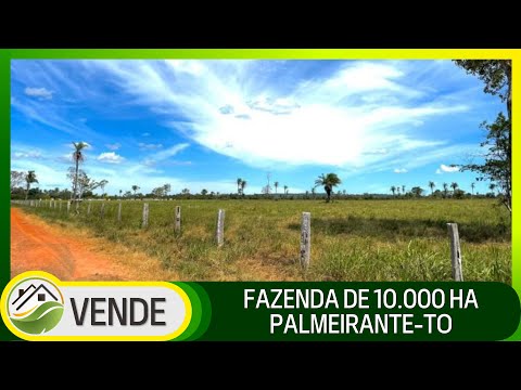 FAZENDA DE 10.000 HA NO TOCANTINS