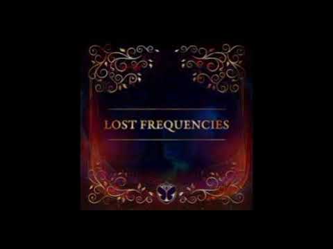 Lost Frequencies REMIX-Are You With Me vs Worry About Me( Tomorrowland)