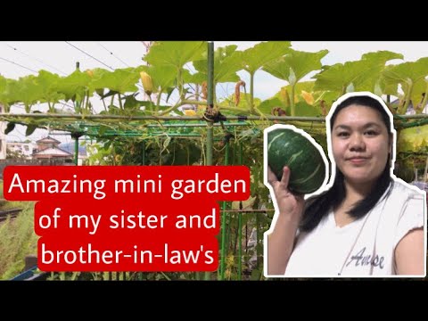 Amazing mini garden of my sister and brother-in-law | Filipina life in Japan